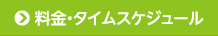 料金・タイムスケジュール