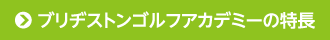 ブリジストンゴルフアカデミーの特長